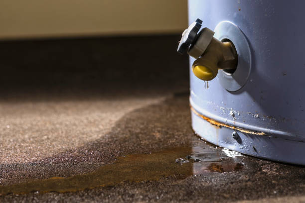 Reliable Doylestown, OH Water damage restoration Solutions