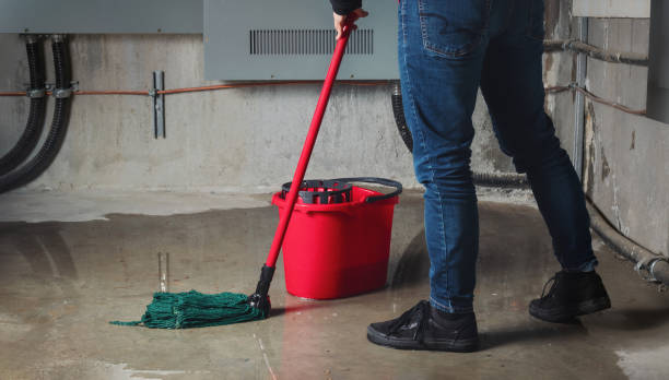 Best Flood restoration services  in Doylestown, OH